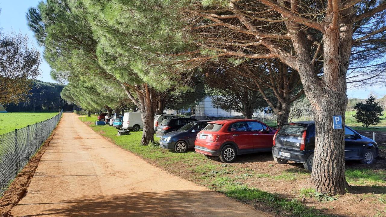 El Oasis De Anayansi Cabanas Con Encanto Vejer de la Frontera Zewnętrze zdjęcie